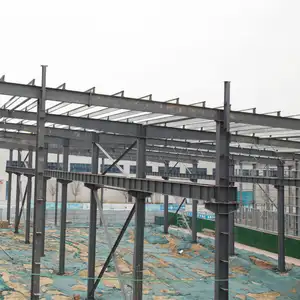 Wholesale China Supplier Fire-Resistant Steel Warehouse Structures Safety Measures For Asset Protection