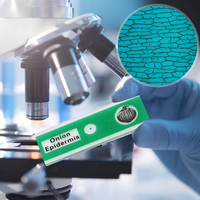 Suministros de Laboratorio para Estudiantes, Set de Experimentos de Ciencias Biológicas para Niños, Muestras y Preparaciones Microscópicas en Portaobjetos de Plástico