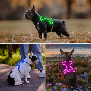 Arnés de Perro Recargable con Luz LED, Antitirones, Ajustable, Reflectante, Acolchado, Impermeable, Brillante, con Reflectivo - Product Image 6