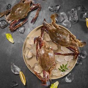 Chất lượng tốt nhất kinh điển đồ ăn nhẹ thông thường đồ ăn nhẹ hải sản alpumge nước tương ướp cua ăn như một món ăn nhẹ - Product Image 5