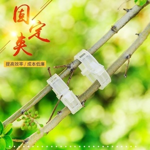 Plastic Plant Binding Clips 2.5Cm Diameter For Vines And Seedlings Support - Product Image 3