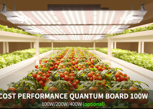 Luz de crecimiento de plantas de placa cuántica LED de espectro completo Marco de piso de invernadero cuadrado Luz de relleno de plantación de vegetales - Product Image 3