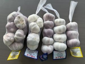 Ingrédient alimentaire de renommée mondiale sans pesticide et de qualité d'exportation pour l'<span class=keywords><strong>ail</strong></span> frais de nouvelle culture de qualité supérieure - Product Image 4