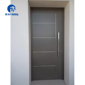 DS-puerta pivotante de metal para exterior, diseño nuevo, precio bajo, para villa