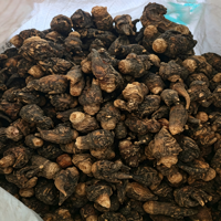 Extrait de racine naturel en poudre, qualité alimentaire, origine Yunnan, extraction liquide-solide, polyphénols, bouteille jaune brunâtre