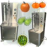Commerciële pompoen- en ananas-schilmachine voor groenten en fruit
