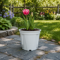 Vente en gros de pots à bonsaï contemporains, mignons, de grande taille, en plastique coloré, pour semis, avec trou de drainage, pour utilisation en jardin, légers et durables