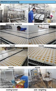 SGDT Toffee Candy Eclair Making <strong>Machine</strong> in Shanghai - Product Image 5