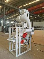 Machine électrique à décortiquer les graines de tournesol, moteur haute productivité, conception sanitaire, faible encombrement, utilisation facile pour les usines