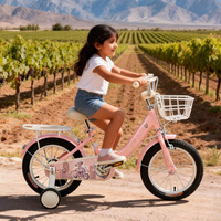 Vélos pour petites filles Hebei HyPod, prix de gros, 18 pouces, magnifiques vélos pour bébés, cycles pour enfants