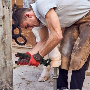 Meilleures pinces à sabots pour maréchaux Taille-sabots pour bétail Parfait pour les chevaux, les vaches, les chèvres et les moutons Tenailles a parer - Product Image 6
