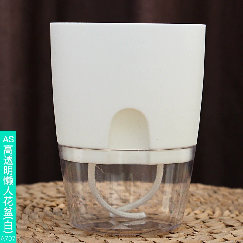 White-23.5cm