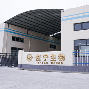 OEM anak-anak jus buah gummies Omega 3 gummies Omega 3 suplemen meningkatkan kognisi dan meningkatkan memori bayi - Product Image 4