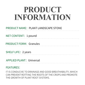 Pierre paysagère pour plantes - Substrat granulaire multifonctionnel pour plantes en pot, succulentes et aquariums - Product Image 4