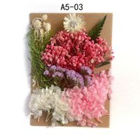 Set Kerajinan Bingkai Foto & Dekorasi Bunga Abadi Buatan Tangan DIY dengan Lem untuk Pernikahan dan Pindah Rumah