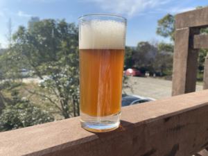 41022<span class=keywords><strong>ชา</strong></span>เขียวจีนชั้นดีจากประเทศแอฟริกา - Product Image 3