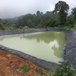 1.0mm nhựa cá rô phi có thể gập lại nuôi cá nước biofloc Tank HDPE <span class=keywords><strong>geomembrane</strong></span> cho nuôi trồng thủy sản geomembranas <span class=keywords><strong>Pond</strong></span> Liner - Product Image 6
