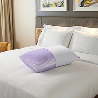 Oreiller de luxe en TPE avec noyau en latex Talalay, grille d'aération et technologie de refroidissement supérieure, idéal pour l'hôtellerie.