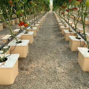 Производство и продажа пластиковых систем для беспочвенного выращивания растений методом гидропоники из ПВХ. - Product Image 6