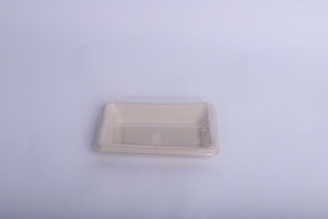 Boîte à sushi écologique en pulpe de bagasse 100 % recyclable, plateau alimentaire en pulpe recyclée non blanchie - Product Image 3