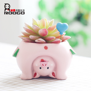 <span class=keywords><strong>Pot</strong></span> de plante succulente d'intérieur en résine Roogo, <span class=keywords><strong>pot</strong></span> à fleurs en forme de cochon coupé - Product Image 2