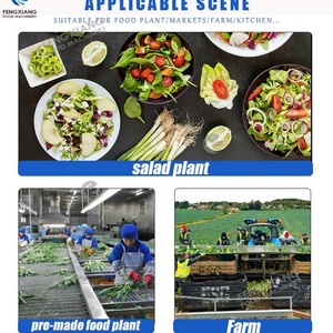 Máquina Procesadora de Frutas y Verduras, Línea de Lavado y Secado de Lechuga para Plantas de Procesamiento de Vegetales a Gran Escala - Product Image 6