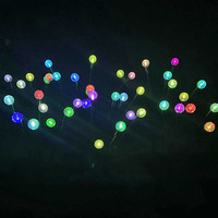 Lumière solaire de jardin IP68 en PVC, effet luciole, pour fêtes et mariages, 6, 8 ou 10 LED avec contrôle par application, CRI 90, blanc chaud