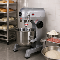 Batteur Mélangeur de Cuisine Professionnel pour Gâteaux, Préparation de Pâtes, Crèmes et Fouettage des Œufs