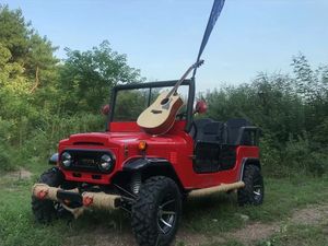 Nuevo Diseño de Mini Jeep de 4 Ruedas y 250cc para Niños y Adultos, Auto Todoterreno 4x4 en Oferta - Product Image 2