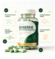 Capsules végétales à marque privée OEM Berberine 1200mg avec cannelle de Ceylan pour le soutien immunitaire et métabolique