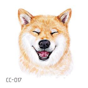 CC017