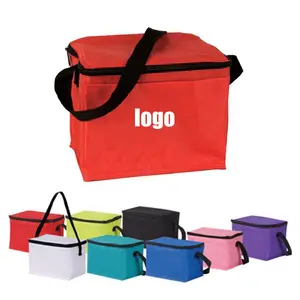 Custom eco friendly reusable insulated lunch food picnic packet take-out cooler bag