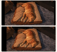 Helios grand chien lit caisse tapis coussin lavable coussin anti-dérapant coussin pour animaux de compagnie dormir tapis de repos multifonctionnel pour animaux de compagnie