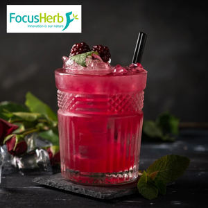 ผงสกัดหัวไชเท้าดำธรรมชาติ FocusHerb 4:1 ผงแครอทสีม่วง - Product Image 3