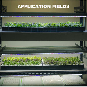 חממות הסיטונאי מערכת תאורה אדומה כחול לבן T8 18w 24w צמח צינור לגדול צינור מלא ספקטרום הוביל אורות הידרופוניים - Product Image 2