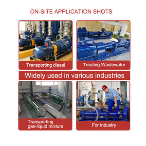मिट्टी के स्लरी कीचड़ के लिए g प्रकार मोनो एक्केंद्रित स्क्रू पंप कंक्रीट ट्रांसफर - Product Image 2