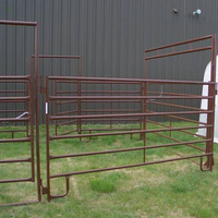 Panneaux galvanisés de clôture pour chevaux en métal de 6 pieds et 12 pieds Panneaux d'enclos pour bétail Panneaux d'enclos pour chevaux de corral utilisés