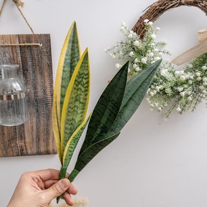 Feuille vert foncé serpent plante <span class=keywords><strong>tigre</strong></span> <span class=keywords><strong>orchidée</strong></span> feuilles bonsaï plantes pour la décoration de la maison - Product Image 4