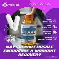 BCAA 500mg 2:1:1 en Cápsulas de Gelatina Halal, Garantía de Calidad, Pre y Post Entrenamiento para Fisicoculturistas, Disponible Ahora, Botella de 240 Cápsulas