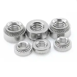 Stainless Steel Selling Hige Quality Galvanized Carbon Steel Pressure Rivet Nut