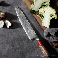 Japanse Stijl Damascus Staal Koksmes Klein Huishoudelijk Keukenmes Hoge Scherpte Voor Het Snijden Van Sushi Groenten Gemaakt Hars