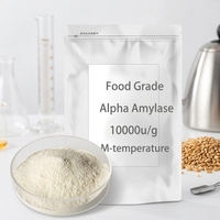 Polvo de Enzima Alfa Amilasa de Grado Alimenticio 100000u/g a Granel para Licuefacción de Almidón en Elaboración de Cerveza y Maltodextrina para Panificación CAS 9000-92-4