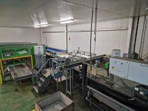 Maf Roda 4 lignes pour avocat prix bon marché à vendre ligne de classement de fruits d'occasion commerciale française produit ordinaire automatique - Product Image 3