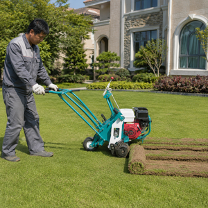 Coupe-herbe agricole, coupe-gazon, tondeuse à gazon avec moteur et boîte <span class=keywords><strong>de</strong></span> vitesses, puissance 9HP, utilisation facile, <span class=keywords><strong>prix</strong></span> abordable - Product Image 1