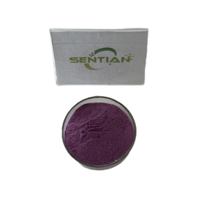 Polvo de saúco negro de grado alimenticio de alta calidad - Product Image 3