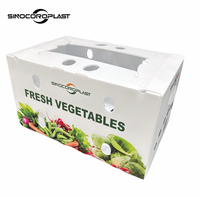 Emballages en carton ondulé personnalisés en gros, prix d'usine, boîtes d'emballage pour légumes et fruits avec trou de transport