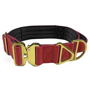 Collares de perro mascota acolchados de nailon con hebilla de metal dorado de excelente calidad - Product Image 4