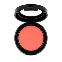 Poudre compacte mate 6 couleurs très vendue, fond de teint brun miel, maquillage facial mat couvrant tout, avec éponge et miroir