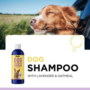 Shampooing professionnel oem sur le <span class=keywords><strong>meilleur</strong></span> produit personnalisé pour chiens et chiots - Product Image 4