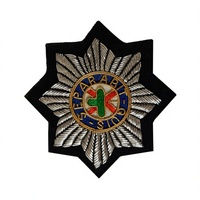 Badge brodé 3D en forme d'étoile, broche en fil métallique, patch personnalisé avec logo pour vêtements, chapeaux, promotion